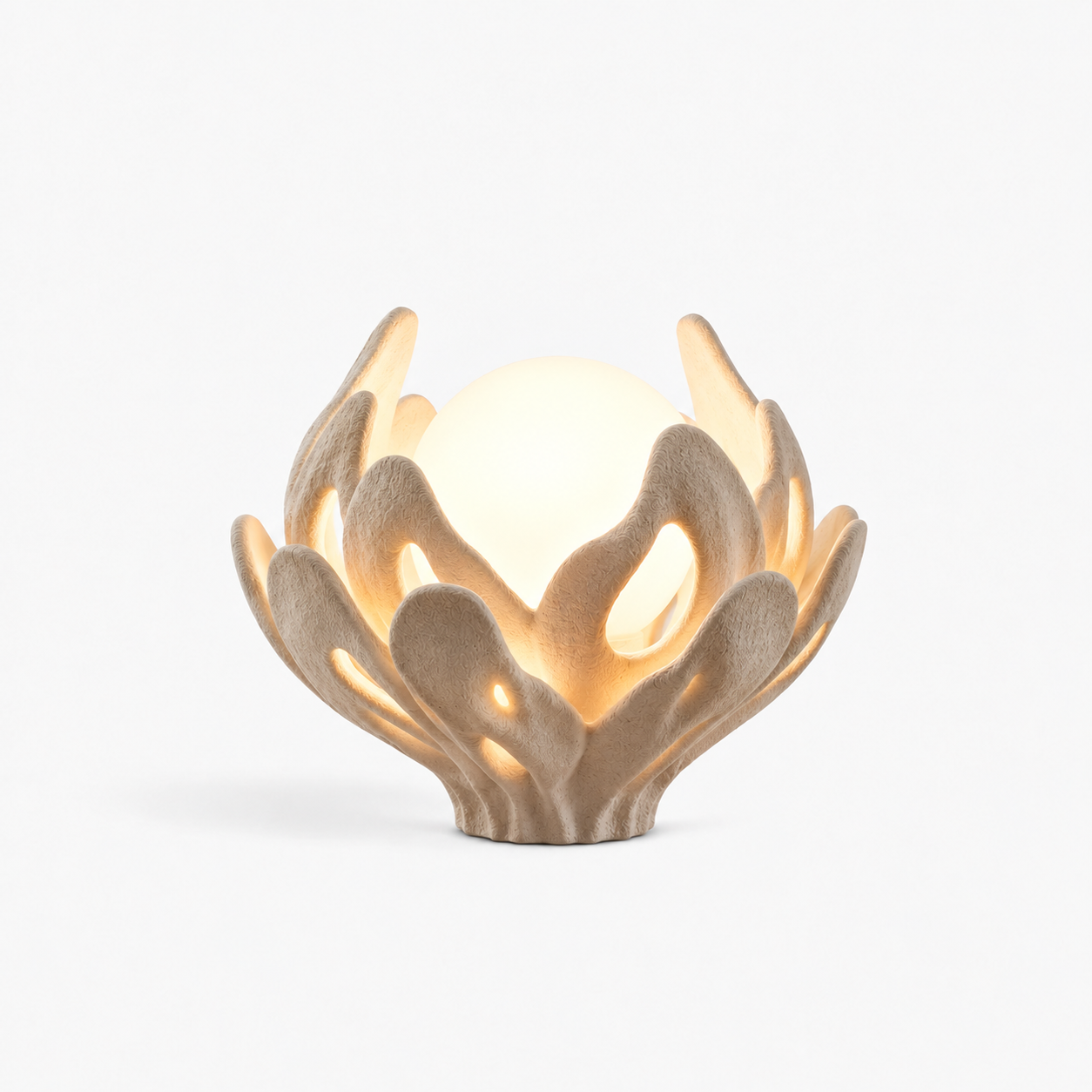Flora